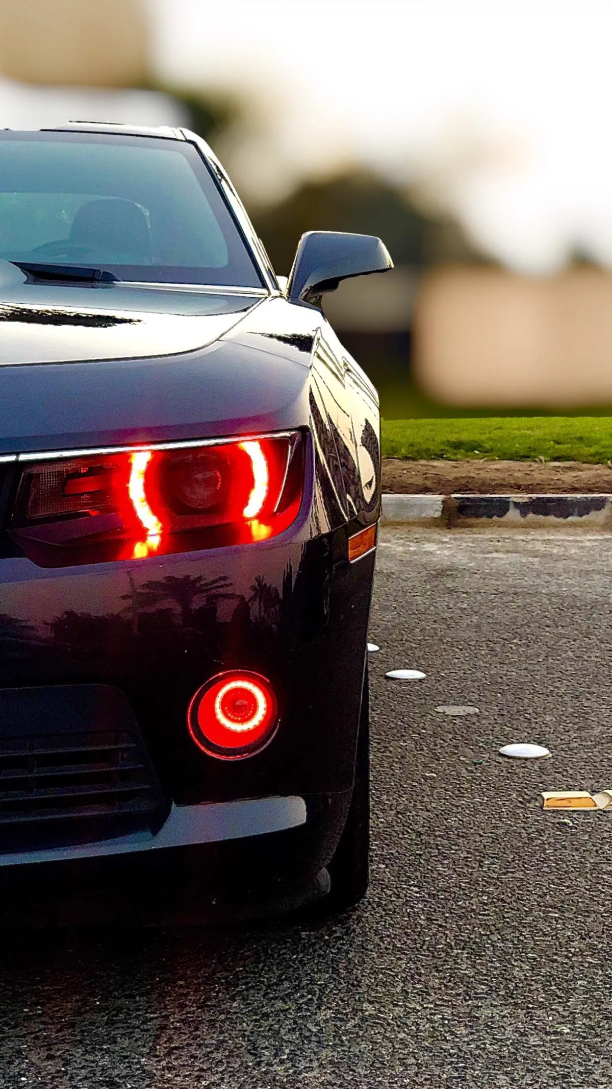 شاناز ئیبراهیم ئەحمەد پرسەنامەیەکی ئاراستەی خانەوادەی (ساڵح موسلیم)کرد